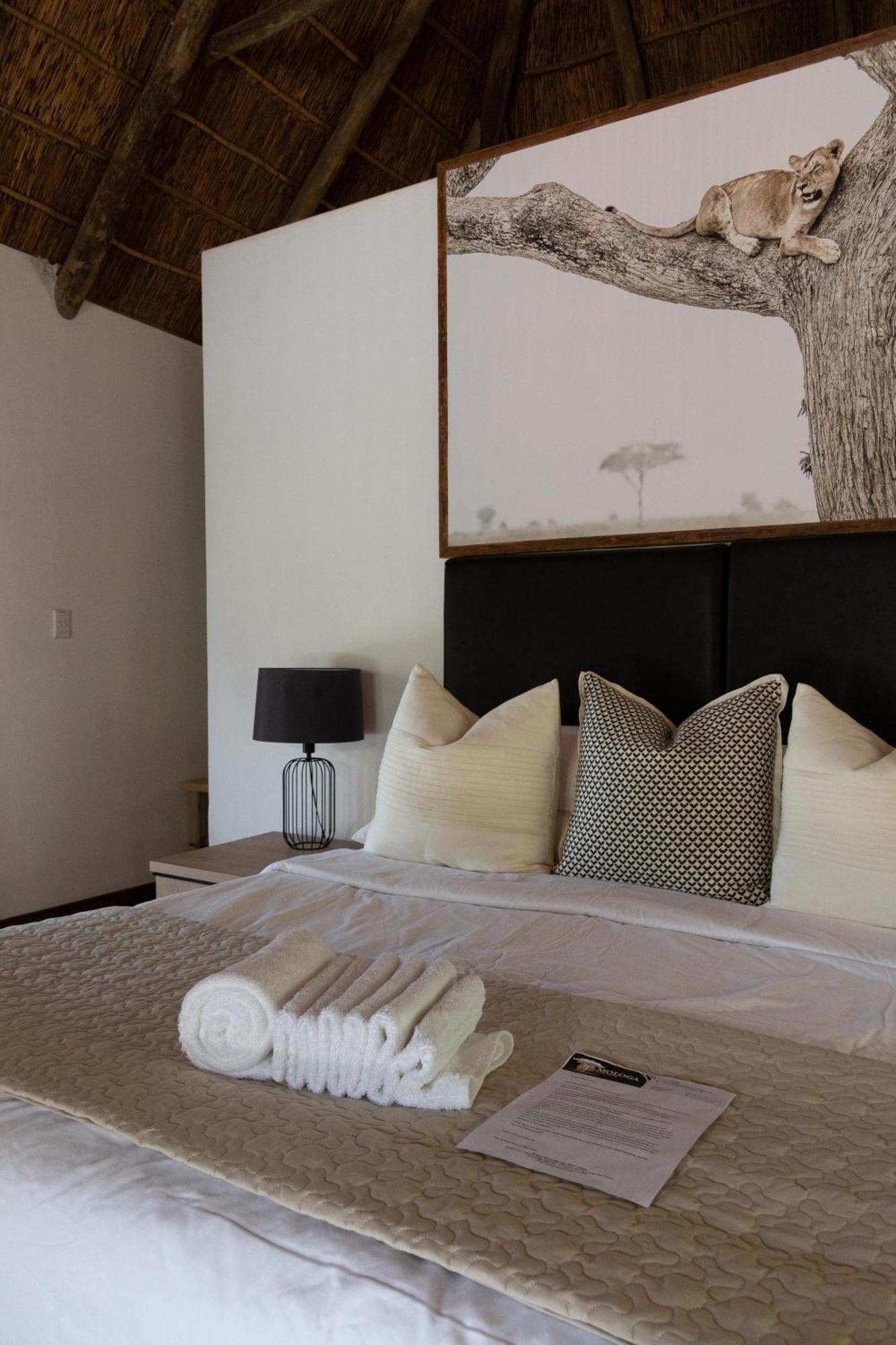 Mologa River Lodge Rust de Winter Zewnętrze zdjęcie