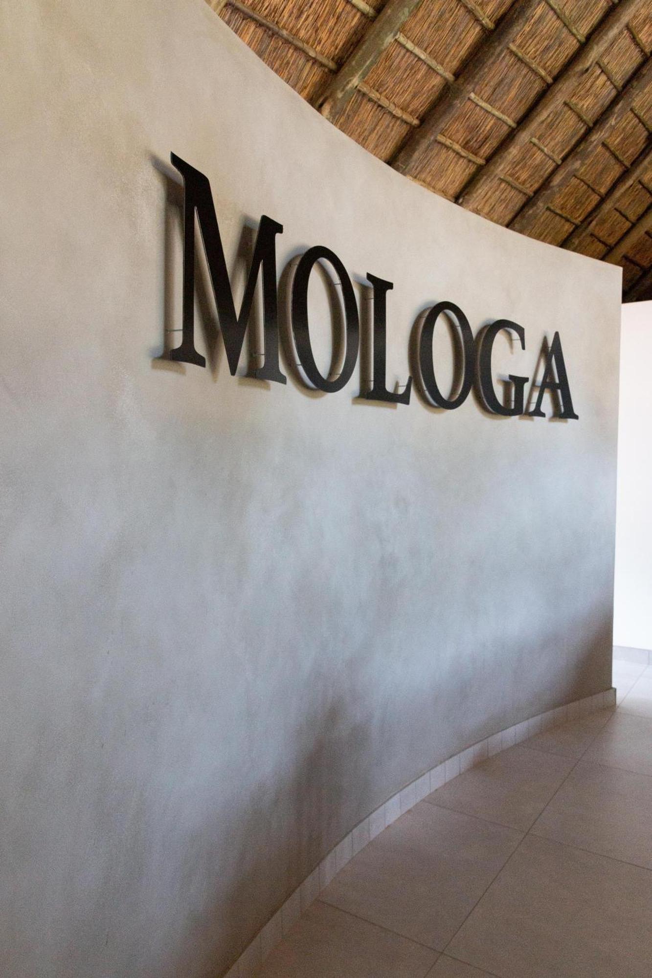 Mologa River Lodge Rust de Winter Zewnętrze zdjęcie